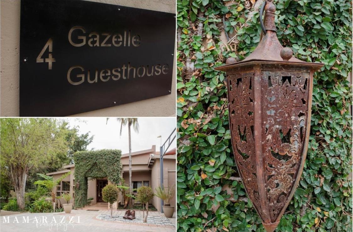 4 Gazelle Guesthouse نيلسبروت المظهر الخارجي الصورة