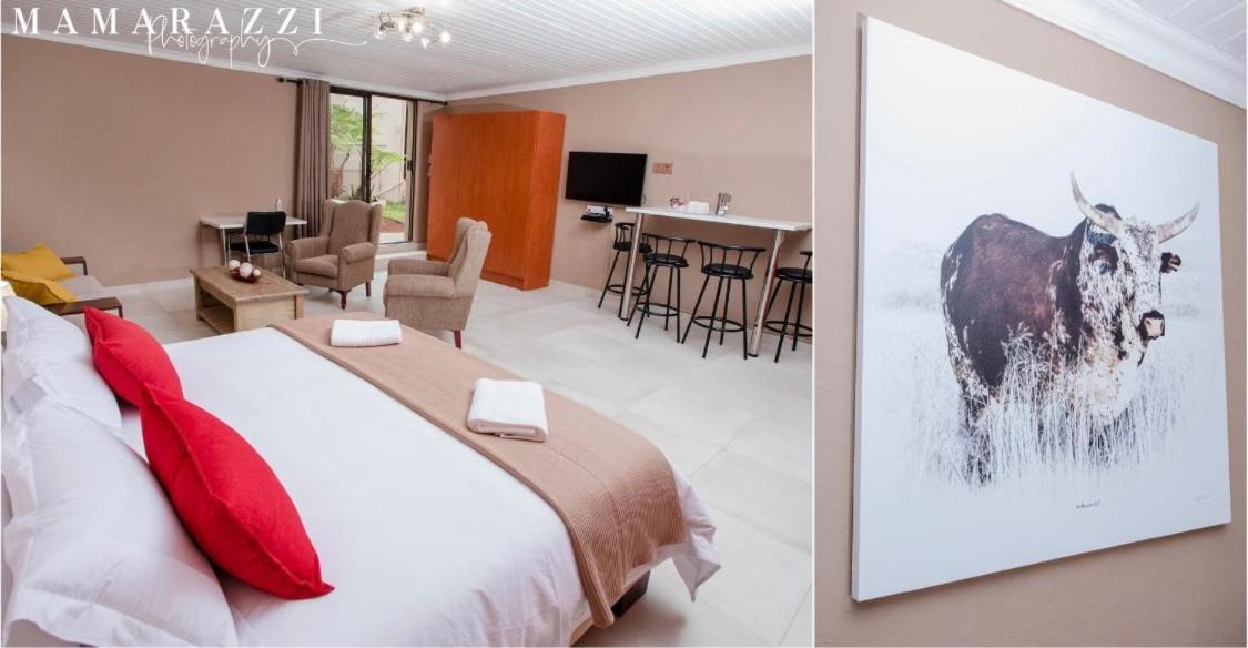 4 Gazelle Guesthouse نيلسبروت المظهر الخارجي الصورة
