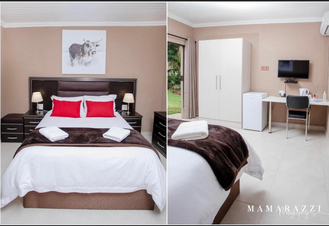 4 Gazelle Guesthouse نيلسبروت المظهر الخارجي الصورة